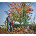 Operator using Einhell 3433617 cordless leaf blower to clear autumn leaves